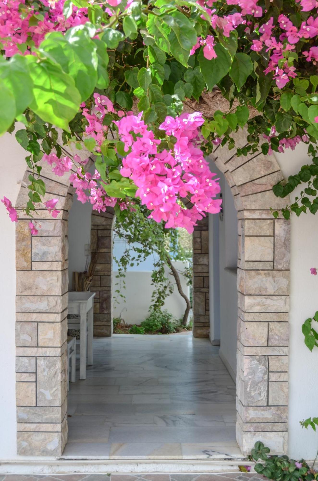 Aparthotel Aggeliki'S Diamond Agia Anna  Exteriér fotografie