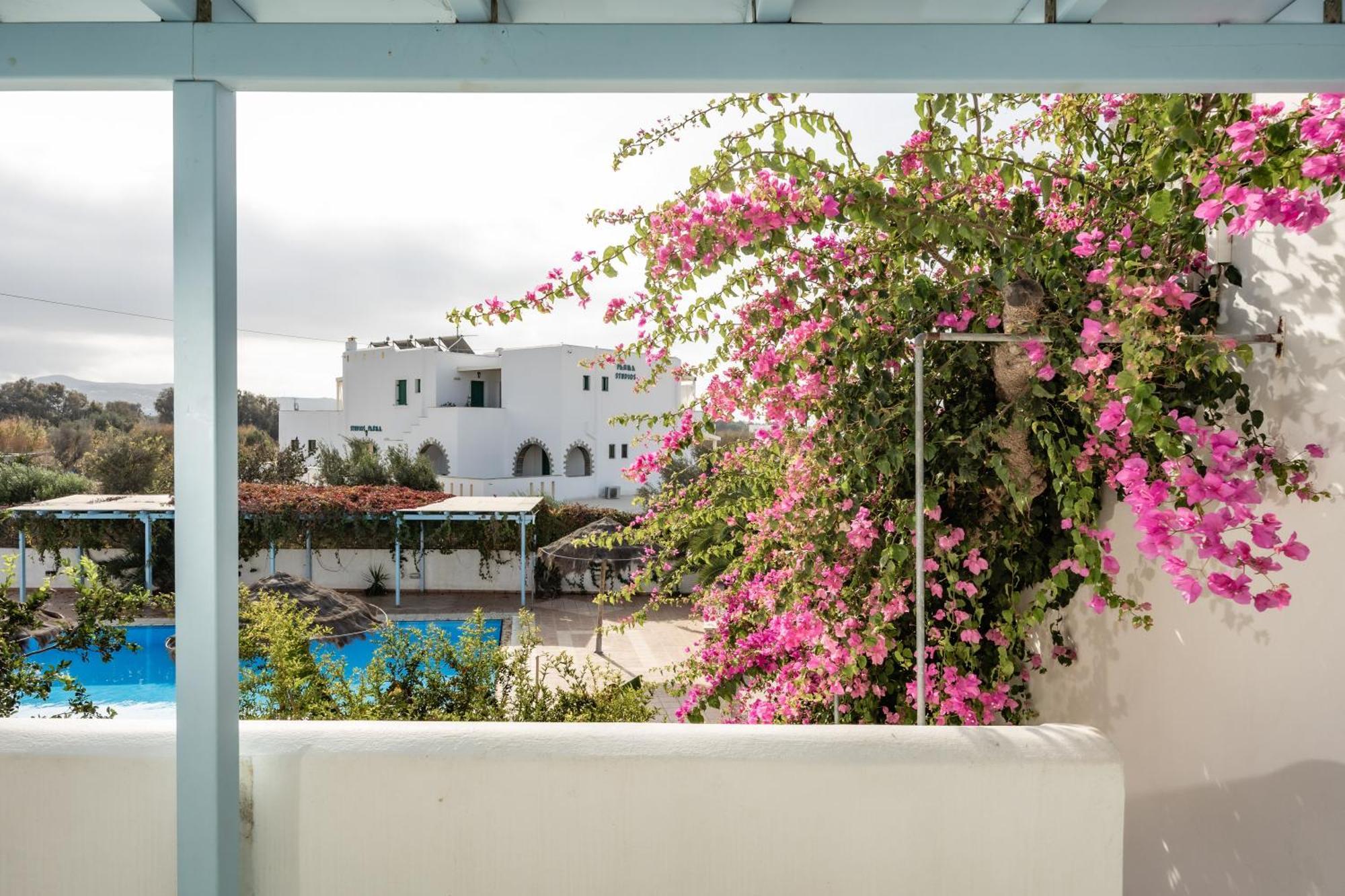 Aparthotel Aggeliki'S Diamond Agia Anna  Exteriér fotografie