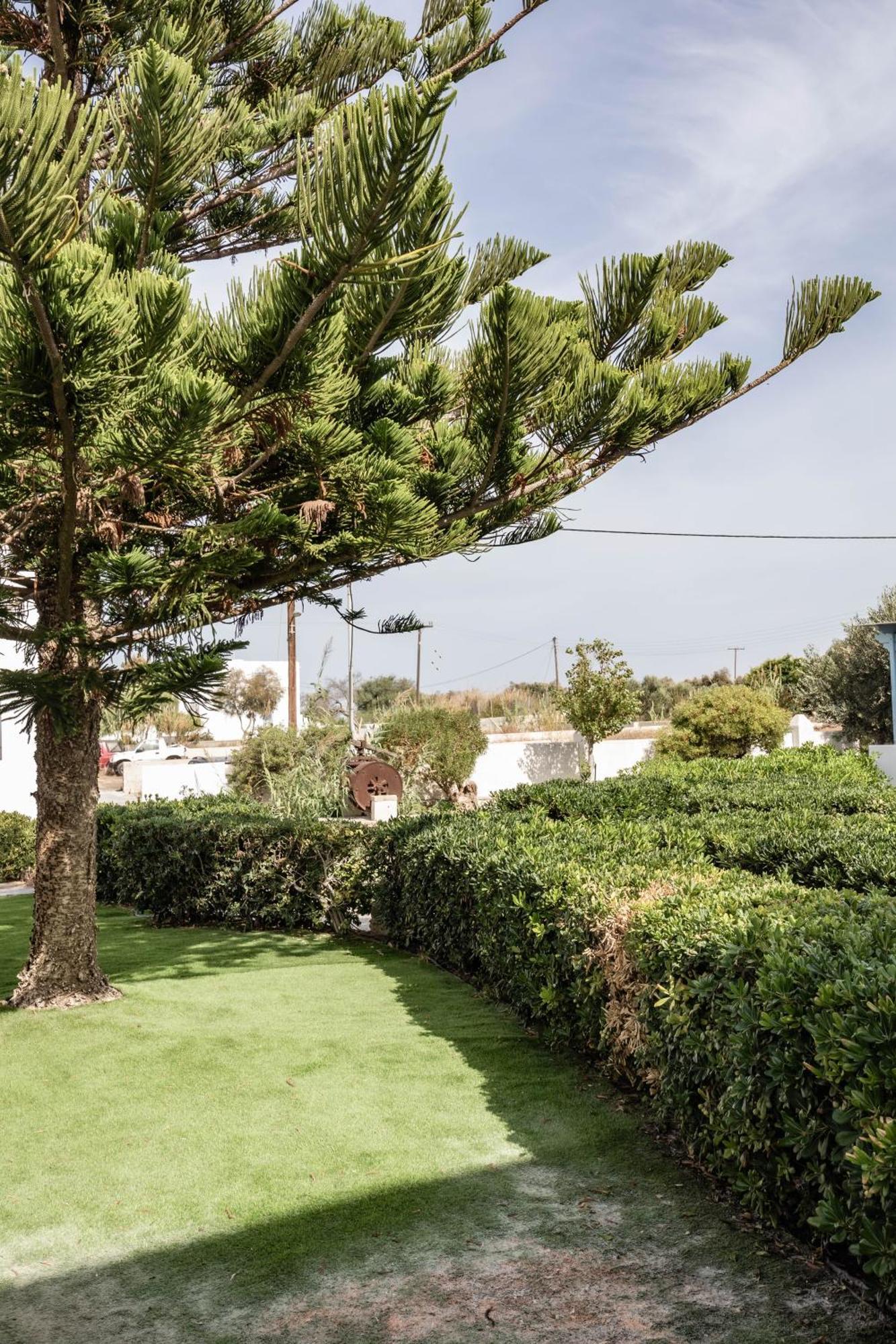 Aparthotel Aggeliki'S Diamond Agia Anna  Exteriér fotografie