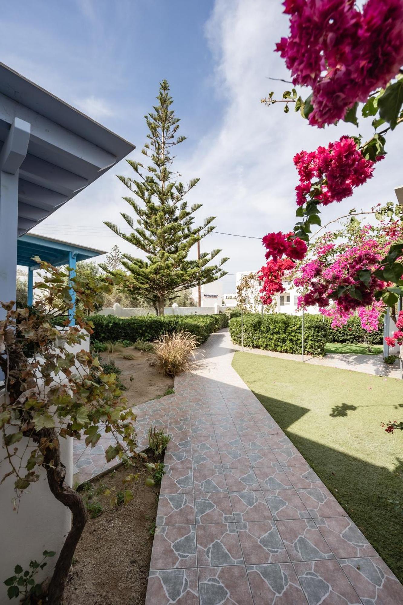 Aparthotel Aggeliki'S Diamond Agia Anna  Exteriér fotografie