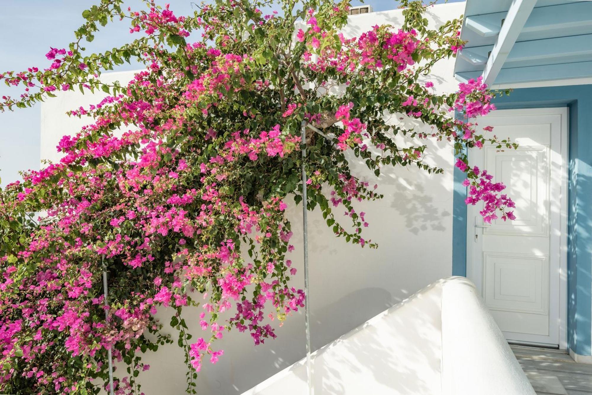 Aparthotel Aggeliki'S Diamond Agia Anna  Exteriér fotografie
